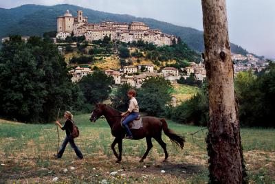 其他.史蒂夫·麦凯瑞SteveMcCurry上集HORSES AND HUMANS 21的摄影作品