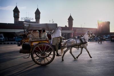 其他.史蒂夫·麦凯瑞SteveMcCurry上集HORSES AND HUMANS 21的摄影作品