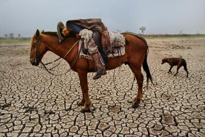 其他.史蒂夫·麦凯瑞SteveMcCurry上集HORSES AND HUMANS 21的摄影作品