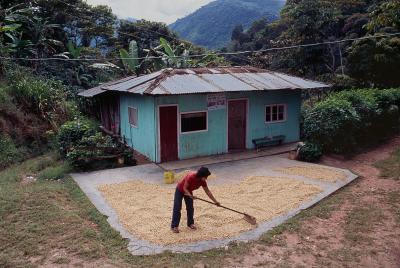 其他.史蒂夫·麦凯瑞SteveMcCurry上集Home Again 31的摄影作品