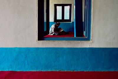 其他.史蒂夫·麦凯瑞SteveMcCurry上集Seeing Double 27的摄影作品