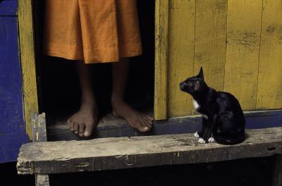 其他.史蒂夫·麦凯瑞SteveMcCurry上集Simple Act of Waiting 15的摄影作品