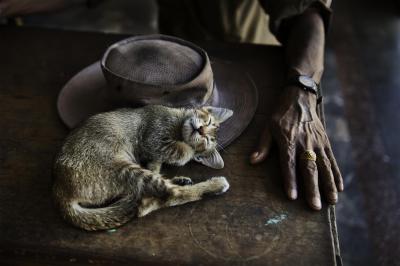 其他.史蒂夫·麦凯瑞SteveMcCurry上集Still Life 26的摄影作品