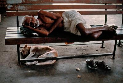 其他.史蒂夫·麦凯瑞SteveMcCurry上集THE FIRMEST FRIEND 23的摄影作品