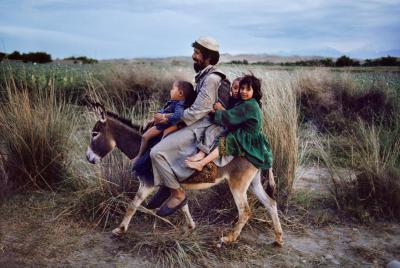 其他.史蒂夫·麦凯瑞SteveMcCurry上集The Universal Language 18的摄影作品