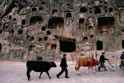 其他.史蒂夫·麦凯瑞SteveMcCurry上集The World’s Ride 26的摄影作品