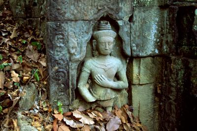 其他.史蒂夫·麦凯瑞SteveMcCurry上集Wabi Sabi 23的摄影作品