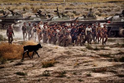 其他.史蒂夫·麦凯瑞SteveMcCurry上集afghanistan 123的摄影作品