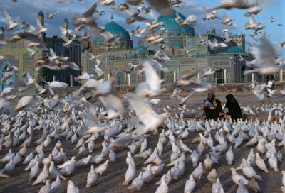 其他.史蒂夫·麦凯瑞SteveMcCurry上集afghanistan 123的摄影作品