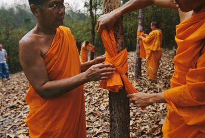 其他.史蒂夫·麦凯瑞SteveMcCurry上集buddhism 69的摄影作品
