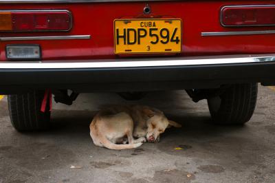 其他.史蒂夫·麦凯瑞SteveMcCurry上集cuba 41的摄影作品