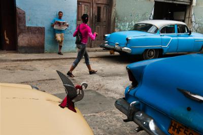 其他.史蒂夫·麦凯瑞SteveMcCurry上集cuba 41的摄影作品