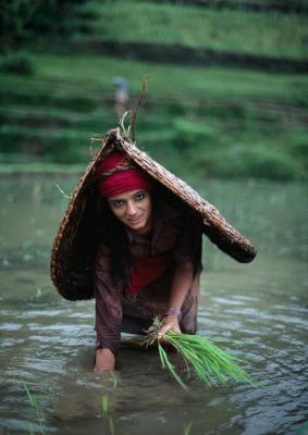 其他.史蒂夫·麦凯瑞SteveMcCurry上集nepal 13的摄影作品