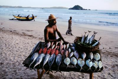 其他.史蒂夫·麦凯瑞SteveMcCurry上集sri lanka 19的摄影作品