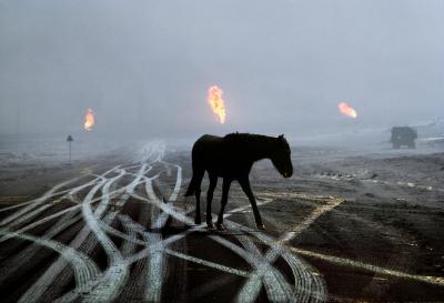 其他.史蒂夫·麦凯瑞SteveMcCurry上集war战争 65的摄影作品
