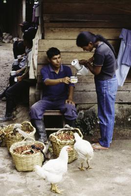 其他.史蒂夫·麦凯瑞SteveMcCurry上集what the world drinks 23的摄影作品