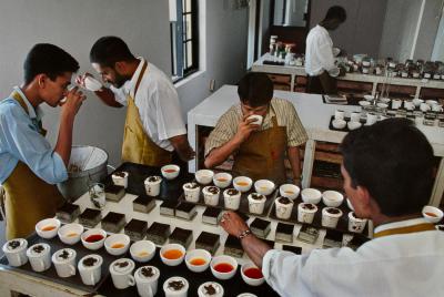 其他.史蒂夫·麦凯瑞SteveMcCurry上集what the world drinks 23的摄影作品