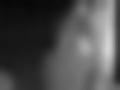 美国.David Hamilton 写真散集（调色9版）Large Black & White的摄影作品