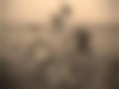 美国.David Hamilton 写真散集（调色9版）Medium Sepia的摄影作品