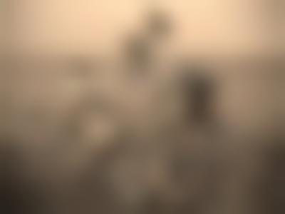 美国.David Hamilton 写真散集（调色9版）Small Sepia的摄影作品