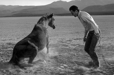 其他.Eve ArnoldFilm The Misfits. 1960的摄影作品