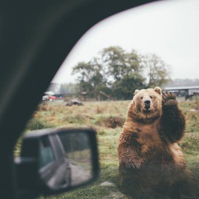 其他.Dylan Furst 旅行摄影 风光摄影 摄影电子图片素材的摄影作品