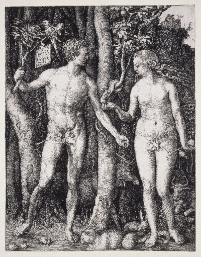 .-11MH30=new美国波士顿美术馆tif的作品-Albrecht_Dürer_-_Man_的_Fall_（亚当和夏娃）。[1]