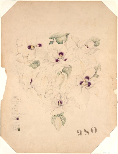 美国纽约大都会美术馆素描藏画.-4MDg083=美国纽约大都会美术馆素描 12的作品-蒂芙尼公司——设计图纸1