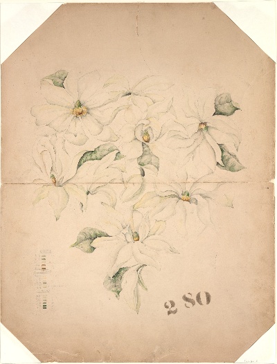 美国纽约大都会美术馆素描藏画.-4MDg083=美国纽约大都会美术馆素描 12的作品-Tiffany&Co——带有珐琅符号的木兰花瓶图纸