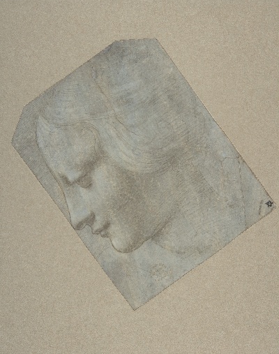 美国纽约大都会美术馆素描藏画.-8MDg083=美国纽约大都会美术馆素描 5的作品-列奥纳多·达芬奇的追随者——侧面朝左的女性头像