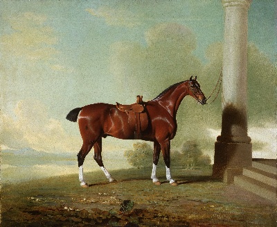 美国费城美术馆精品藏画高清图集TIF-1的作品-本杰明·马歇尔，英国，1768-1835年——弗朗西斯·斯蒂芬斯夫人最喜欢的栗子猎人[née Lady Frances Pierrepont]
