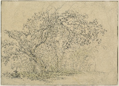 美国华盛顿国立美术馆素描藏品. -22美国华盛顿国家美术馆素描线稿集3925幅TIF-2的作品-C13751