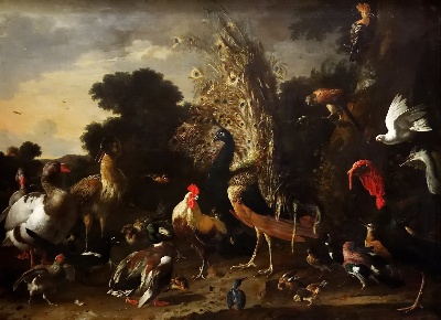 -55=Msg093=奥地利维也纳艺术史博物馆###9月上新的作品-Melchior de Hondecoeter——有公鸡的家禽饲养场。jpeg