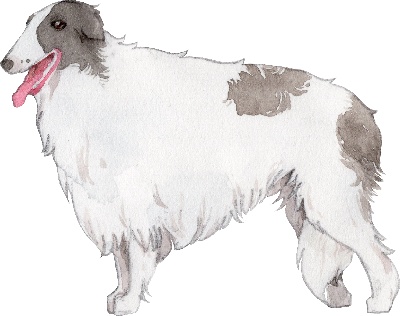 _PSD动物透明背景图案的图标-Borzoi