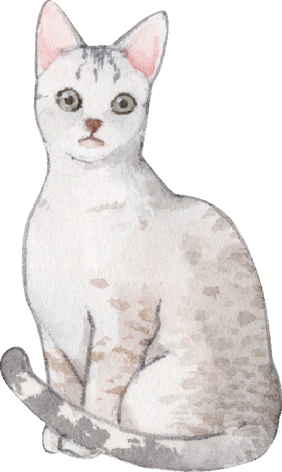 _PSD动物透明背景图案的图标-Egyptian_Mau_Cat