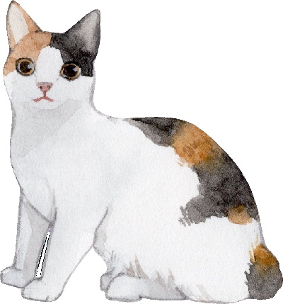 _PSD动物透明背景图案的图标-Japanese_Bobtail_Cat