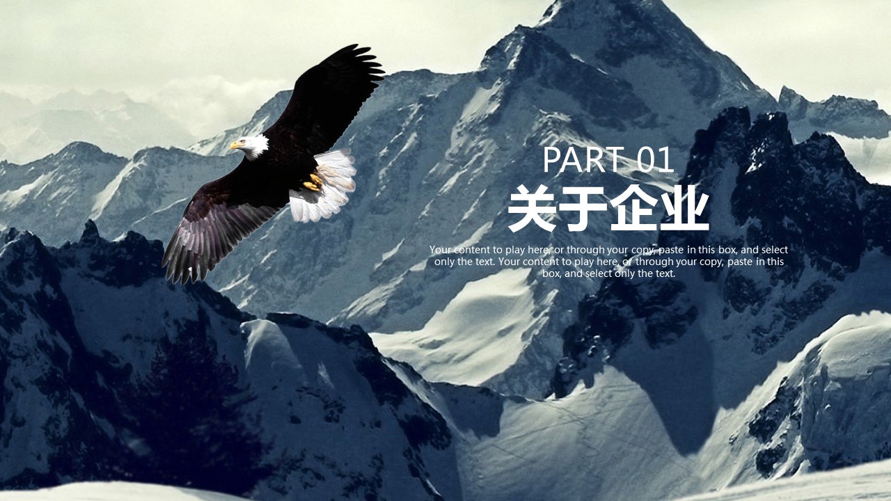 商务.企业简介4公司简介企业展示宣传 108的PPT模板-3/42