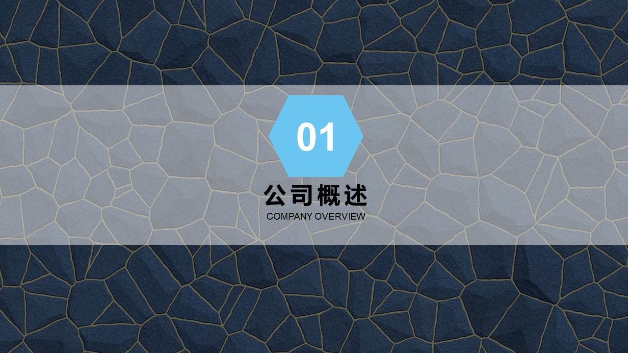 商务.企业简介4公司简介企业展示宣传 109的PPT模板-3/38