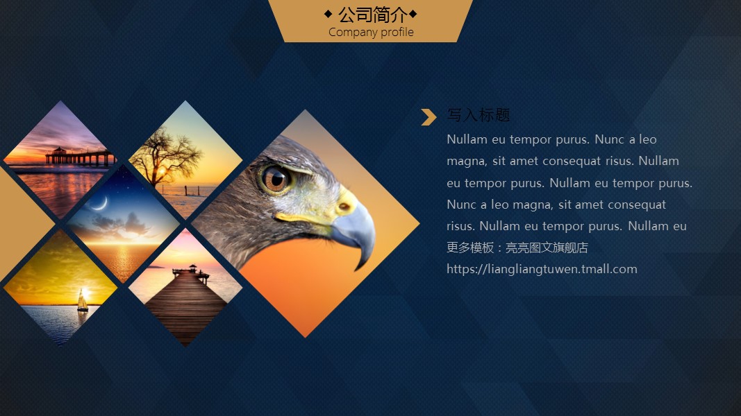 商务.创业融资者创业融资策划 81的PPT模板-5/25
