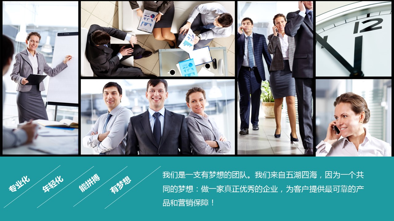 商务.商业计划书1【商业计划书】26的PPT模板-5/43