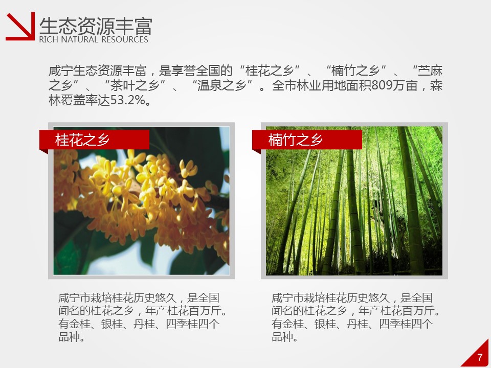 商务.商业计划书2商业计划书原-6的PPT模板-7/37