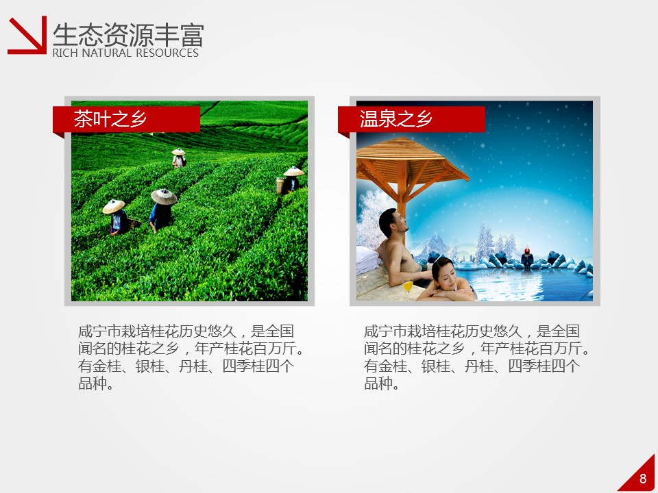商务.商业计划书2商业计划书原-6的PPT模板-8/37
