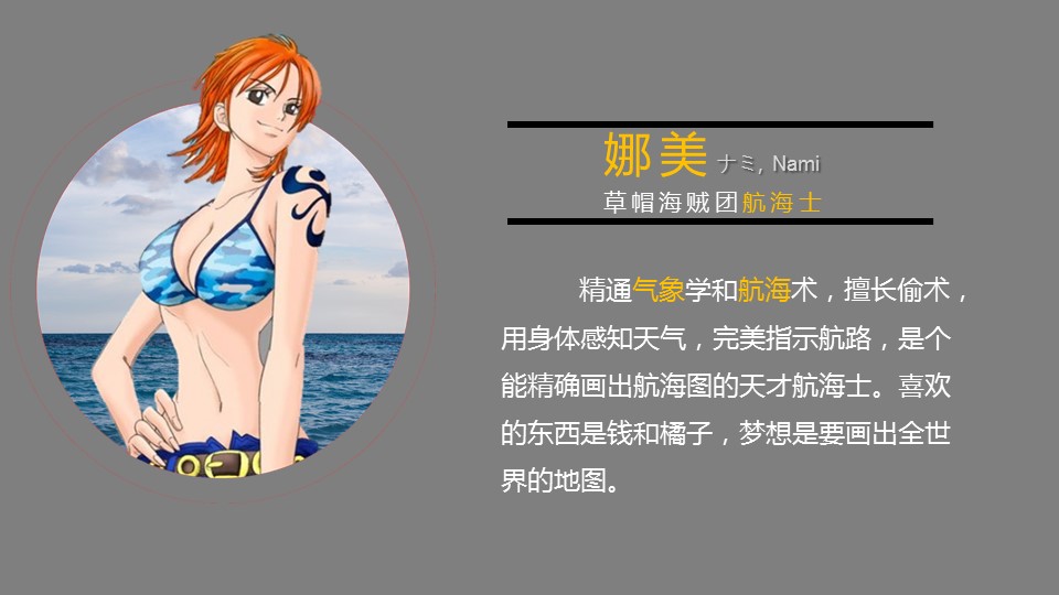 商务.静态卡通ppt海贼王主要人物介绍PPT——图文的PPT模板-4/16