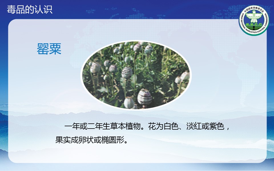 商务.公安p 7的PPT模板-6/37