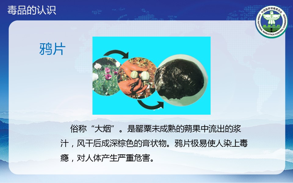 商务.公安p 7的PPT模板-7/37