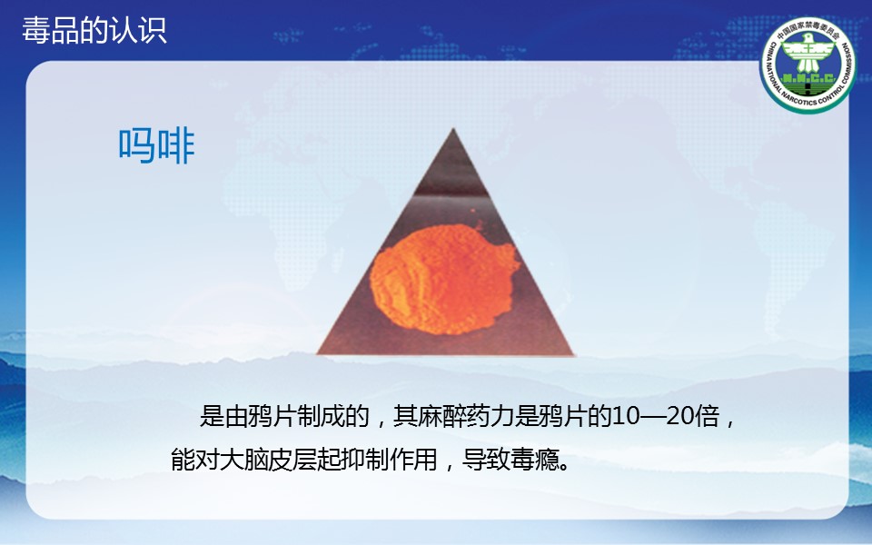 商务.公安p 7的PPT模板-8/37