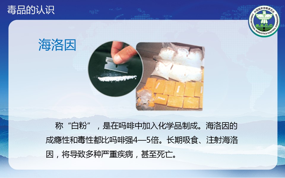 商务.公安p 7的PPT模板-10/37