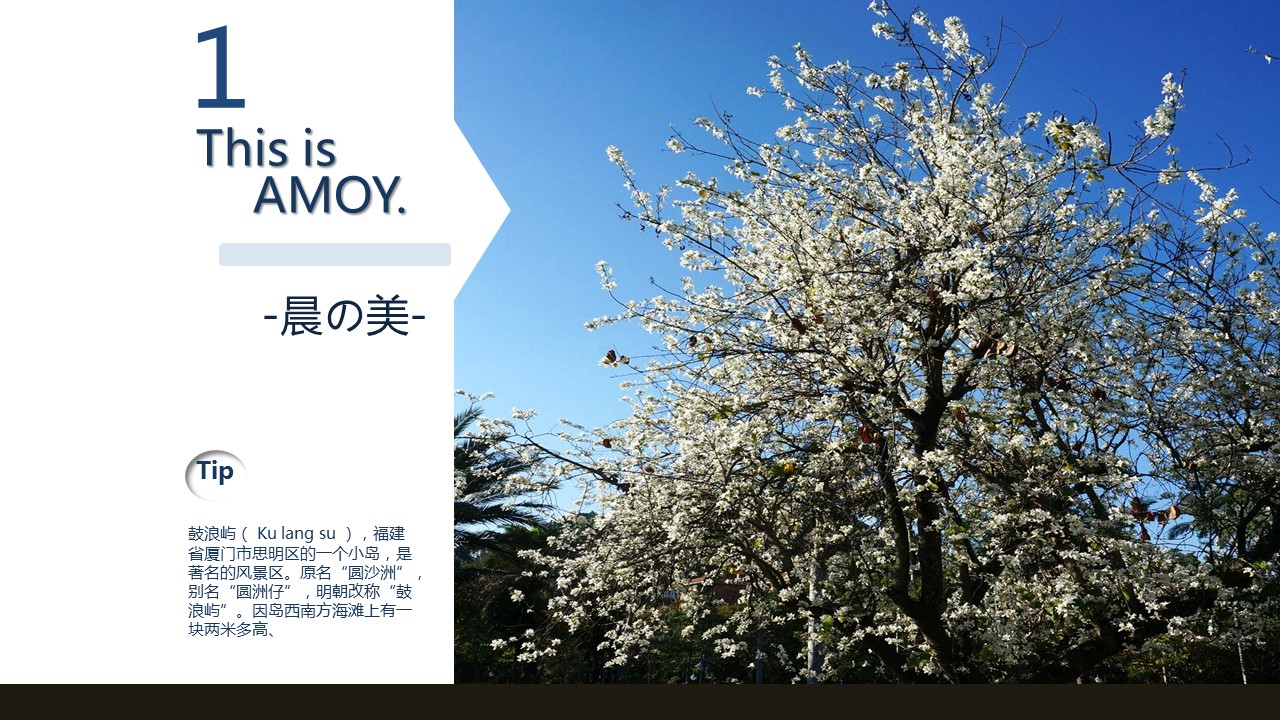 商务.旅游景点厦门鼓浪屿旅游攻略PPT模板——图文的PPT模板-3/12