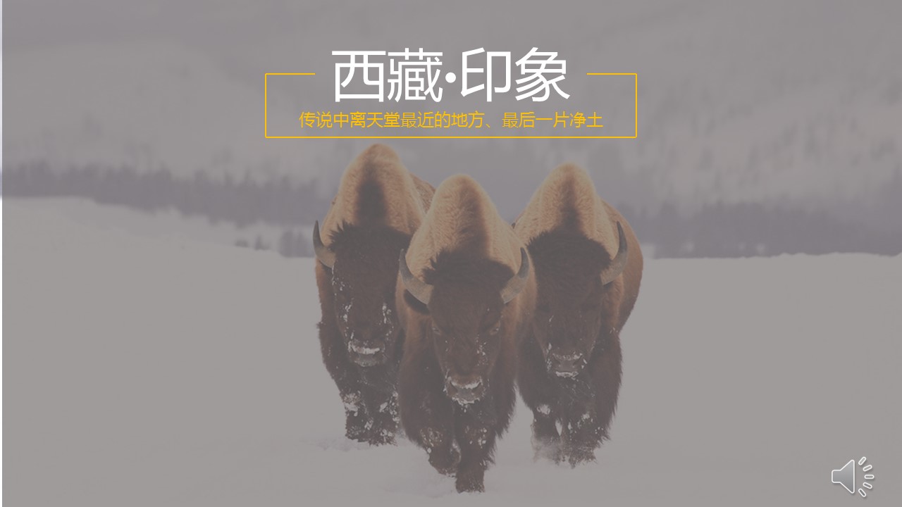 商务.西藏旅游景点介绍PPT作品——图文的PPT模板-1/28