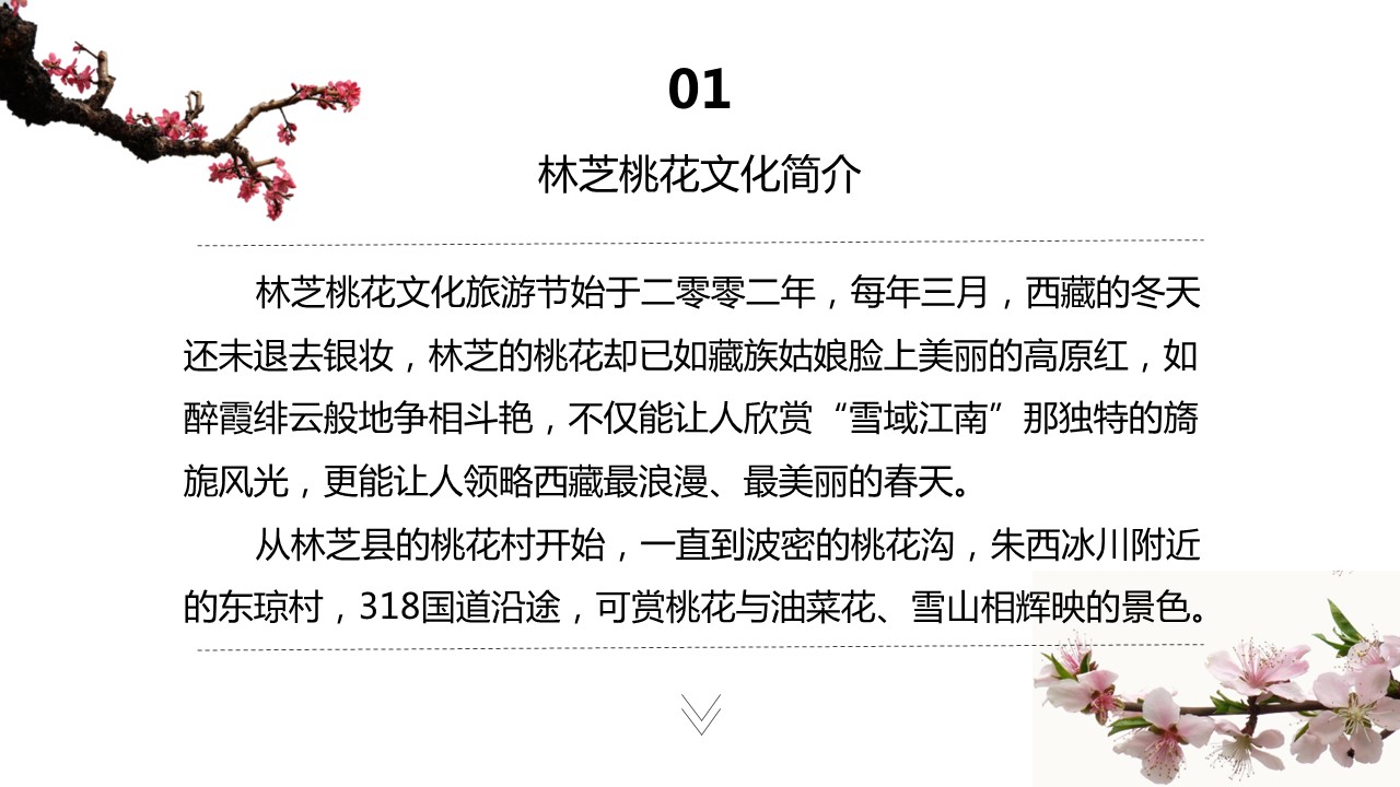 商务.西藏旅游景点介绍PPT作品——图文的PPT模板-10/28